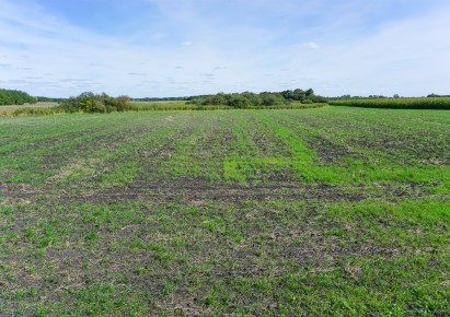 działka na sprzedaż - Chełm, Rożdżałów